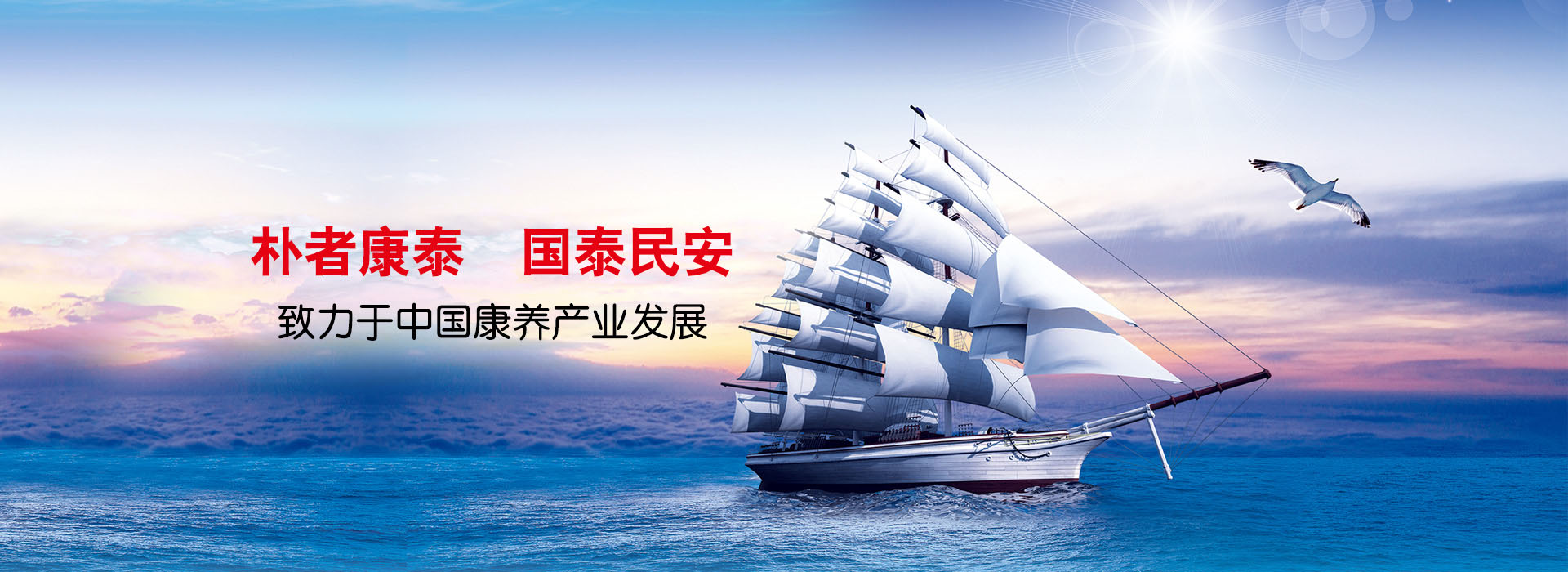 四川朴泰康养集团