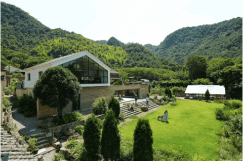 南京人的互助养老火了:陪诊、买药、上门陪聊,不花一分钱